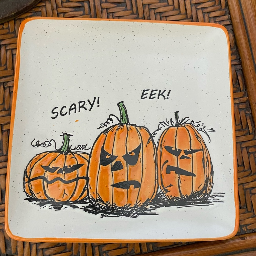 In homestylez pumpkin plate